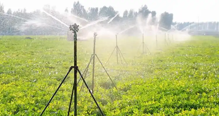 Agricutural irrigation