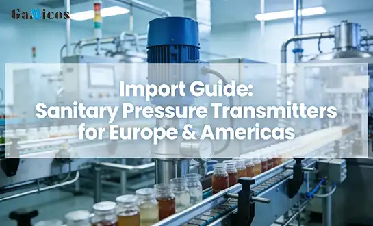 Import Guide: Sanitary Pressure Transmitters for Europe & Americas